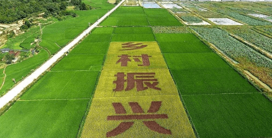 人民日報(bào)&ldquo;鄉(xiāng)村振興計(jì)劃&rdquo;為何看上他？_直播_行業(yè)_農(nóng)產(chǎn)品